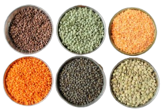 Lentils